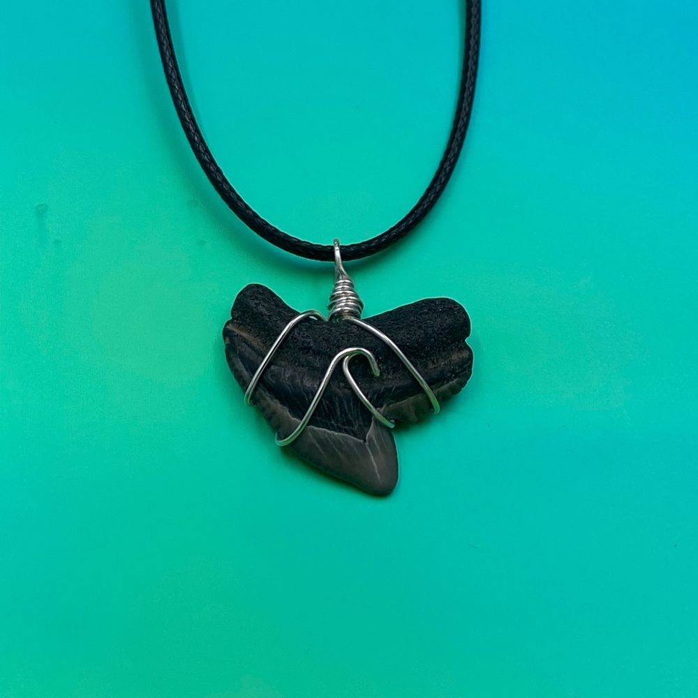 Wave wrapped tiger shark tooth fossil necklace